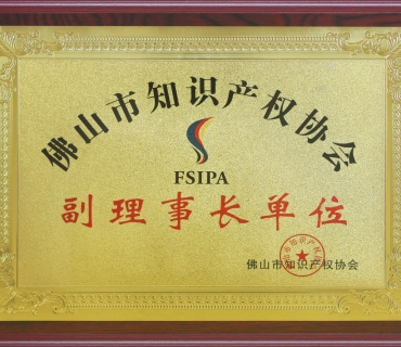 Vice chairman of Foshan intellectual property